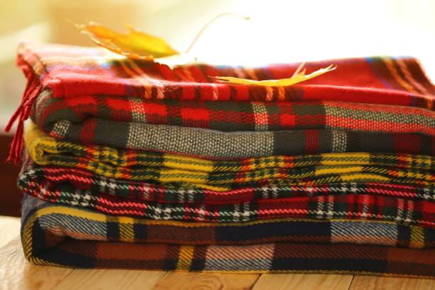 تصویر 4 از قیمت خرید پتو مسافرتی چهارخونه قدیمی با فروش عمده